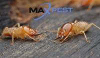 MAX Pest Control Werribee image 3